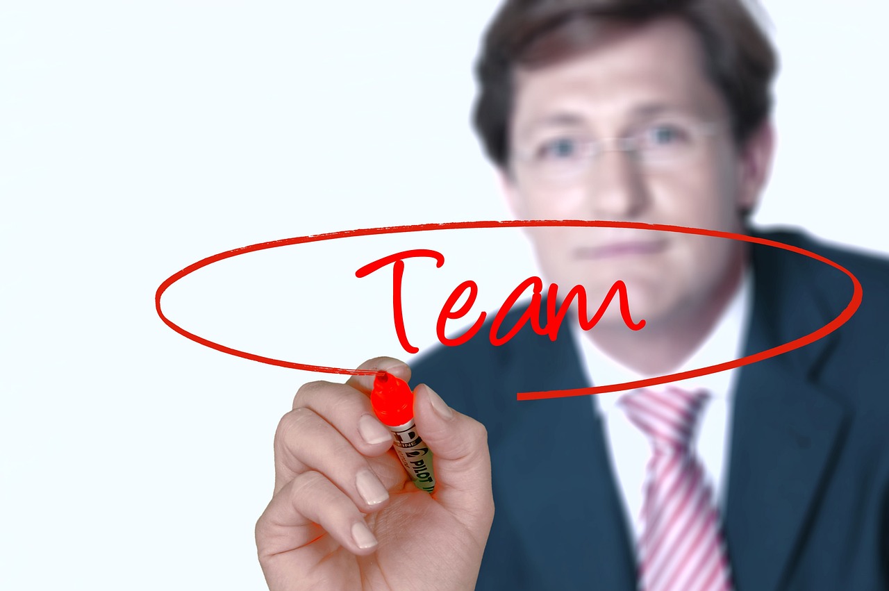 Sales Team Management