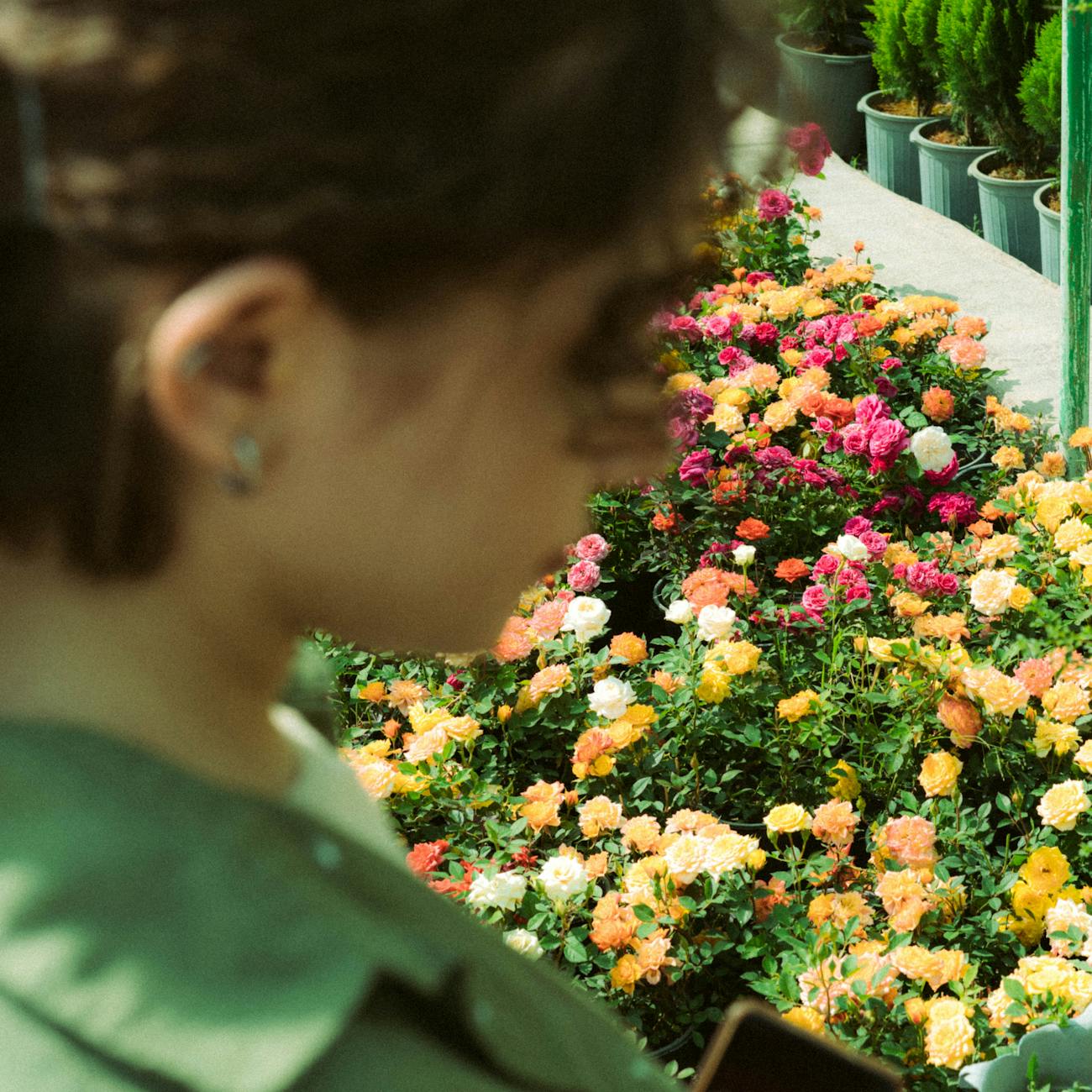 Design and Implementation of Therapeutic Gardens
