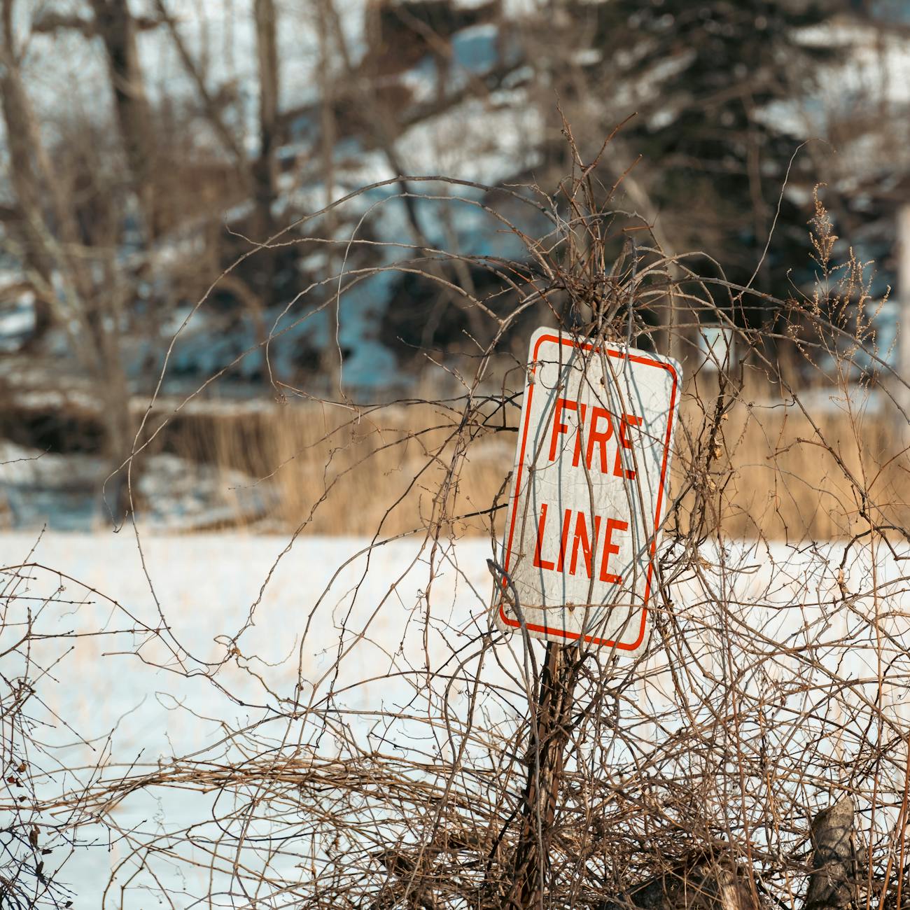 Fire Safety Management