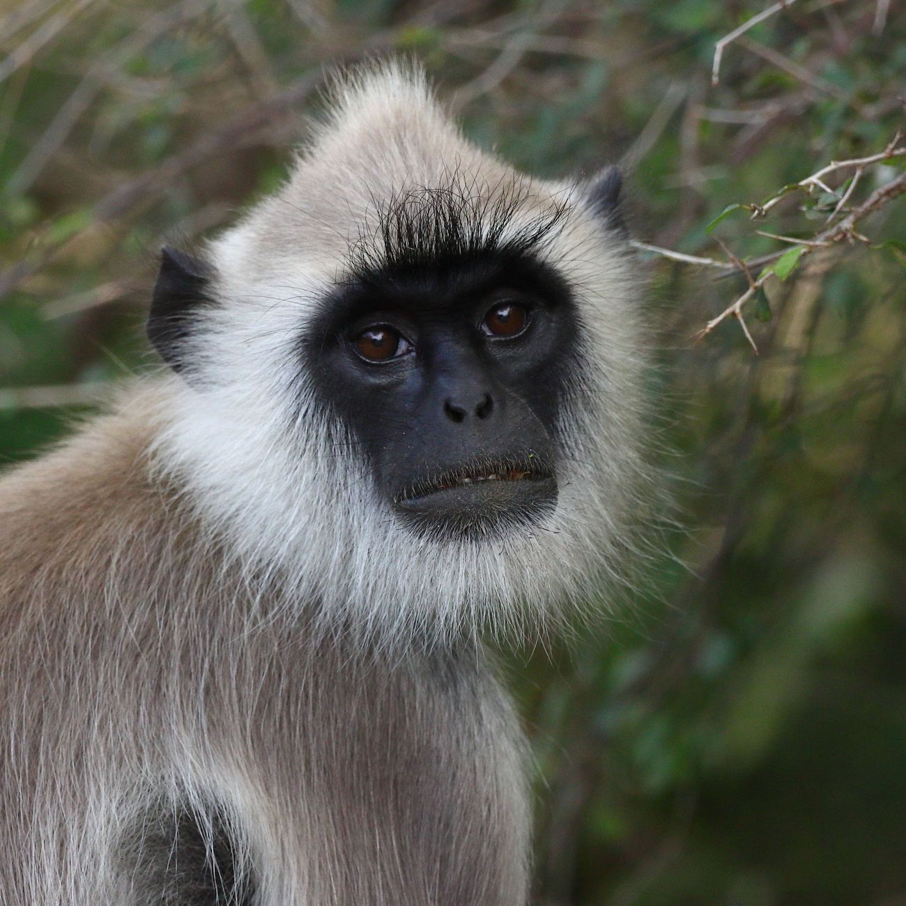 Biodiversity Conservation Practices