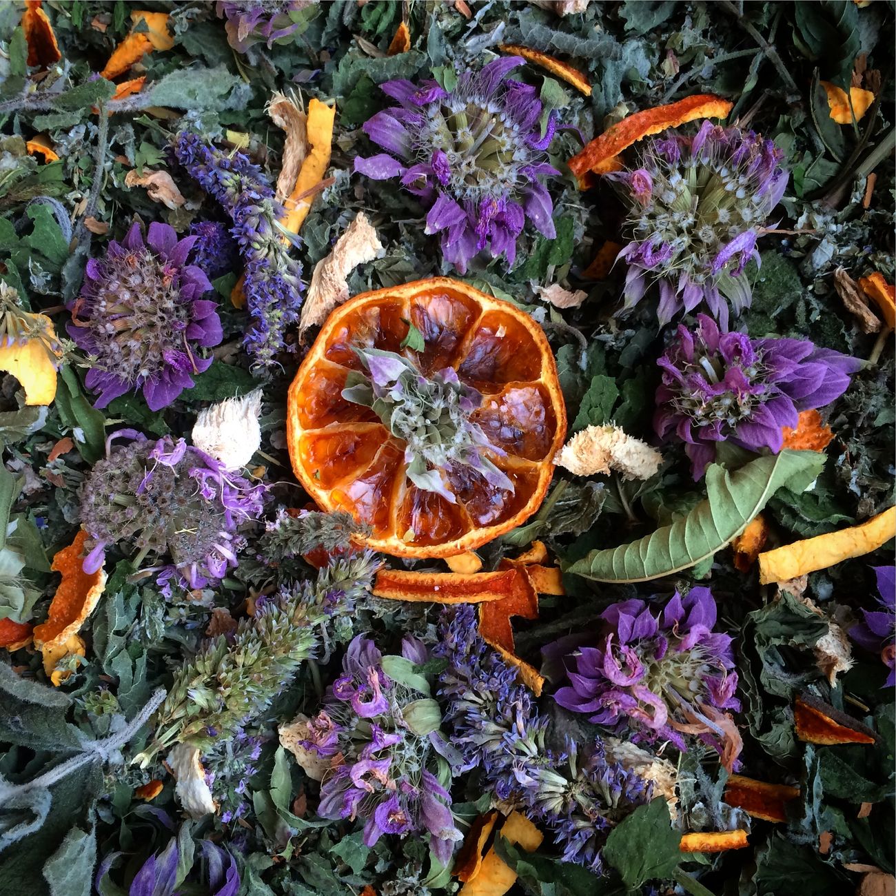 Flavor Profiles in Tea