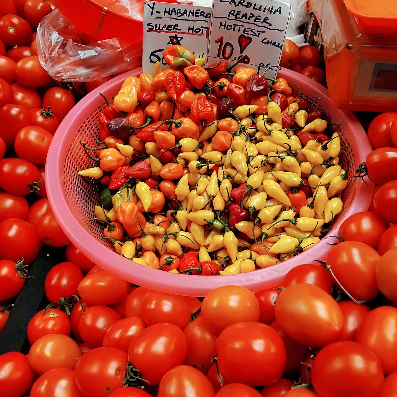 Food and Colonialism