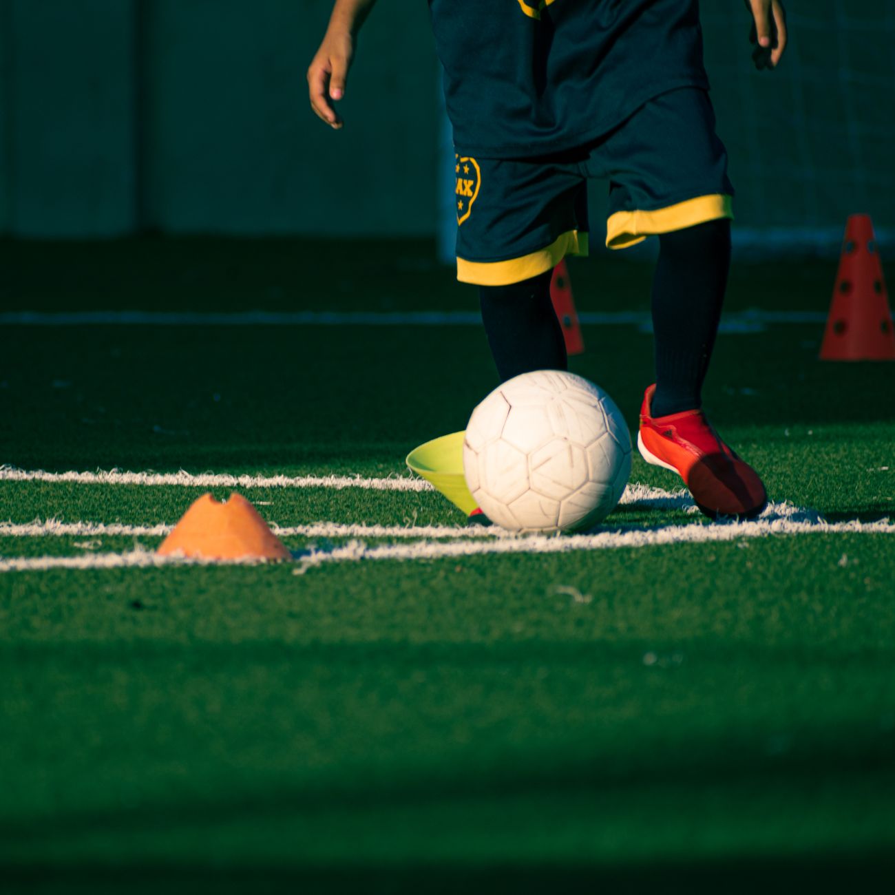 Ethical Considerations in Sports Coaching