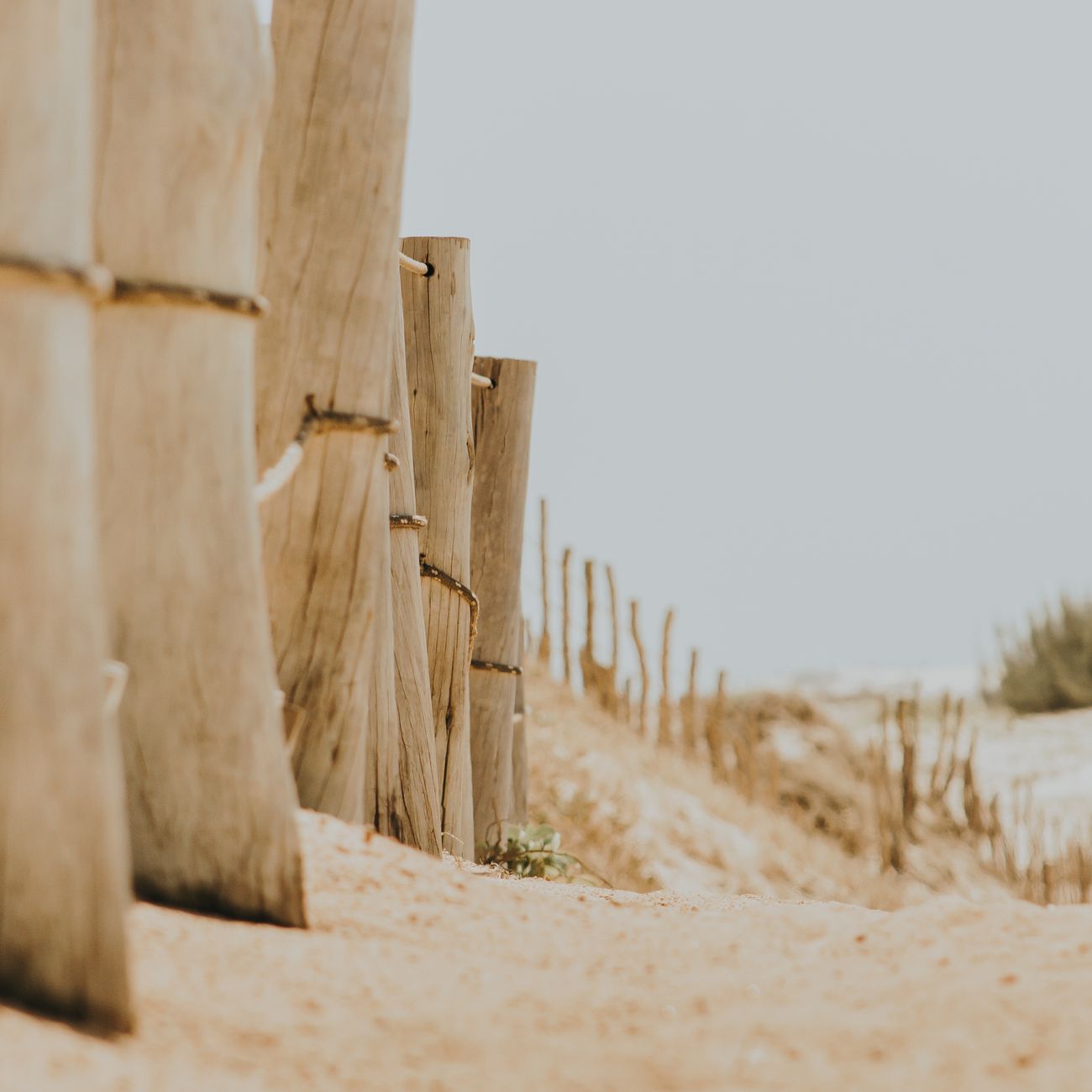 Offshore Trusts and Foundations