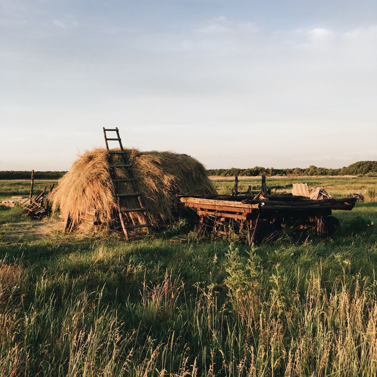 Regenerative Agriculture Policy and Advocacy