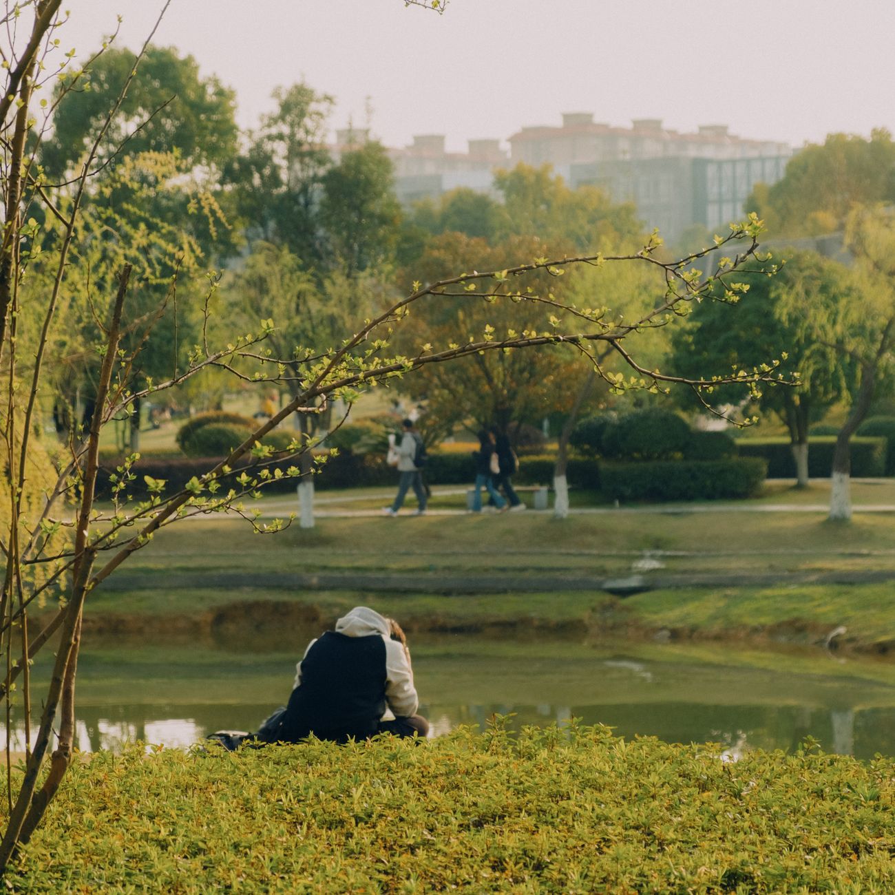 Developing Communication Strategies for Dementia Care