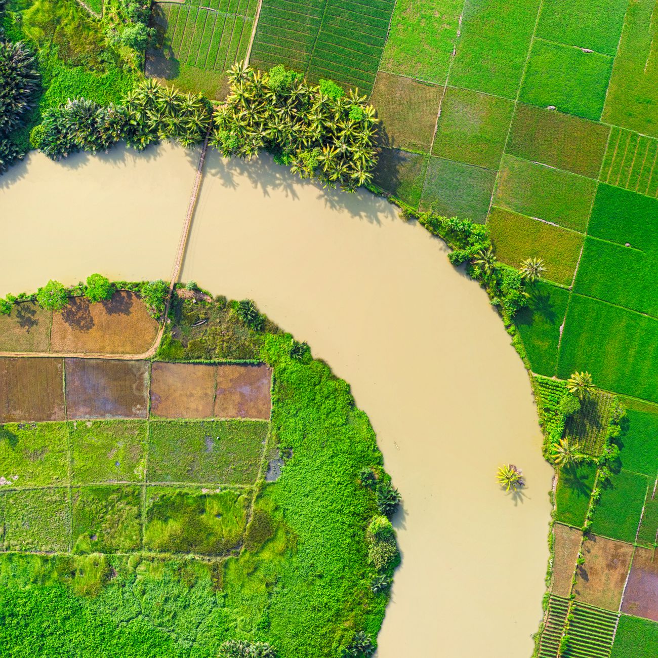 Sustainability in Lean Operations