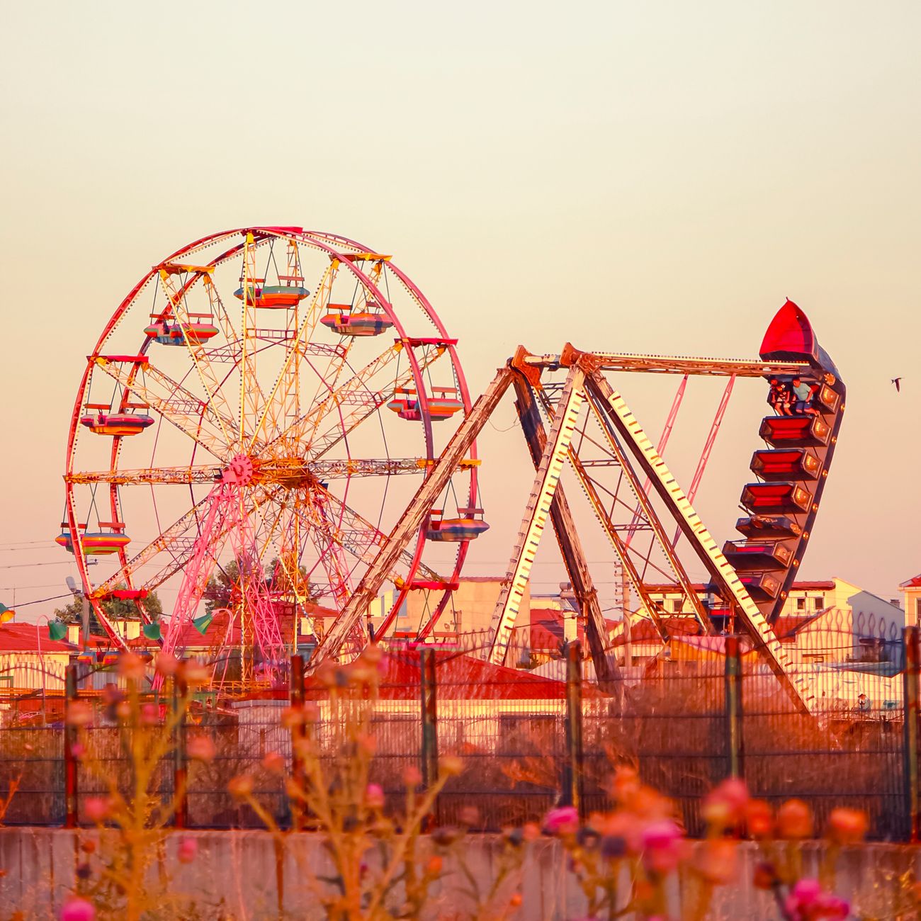 Theme Park and Attractions Management Fundamentals