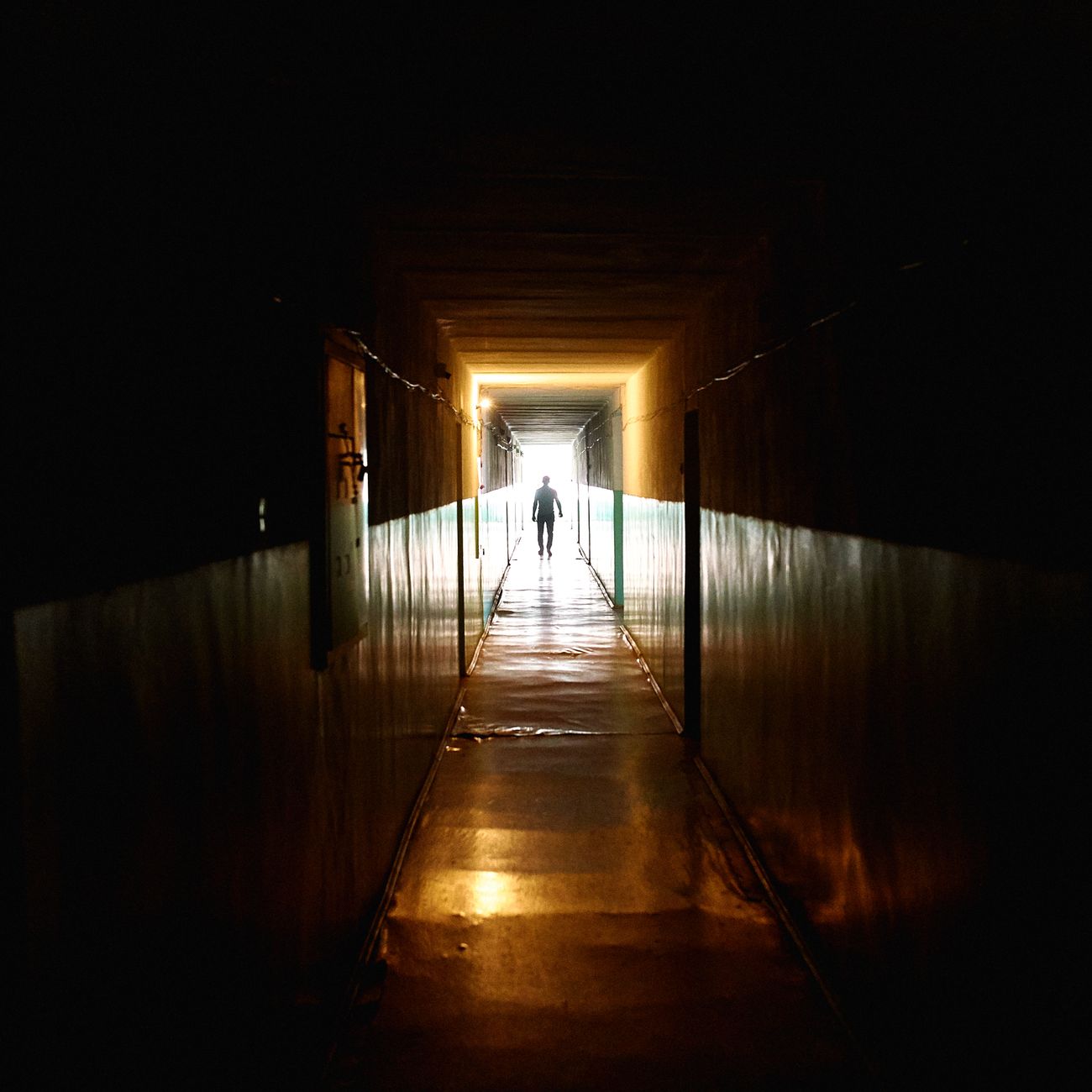 Quantum Field Theory in Psychology