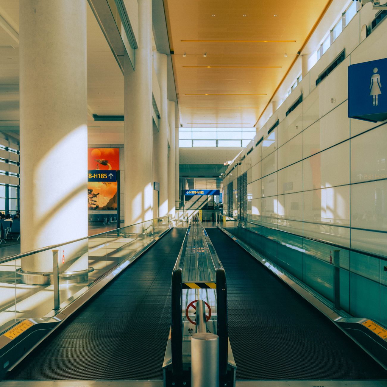 Aviation Network Architecture