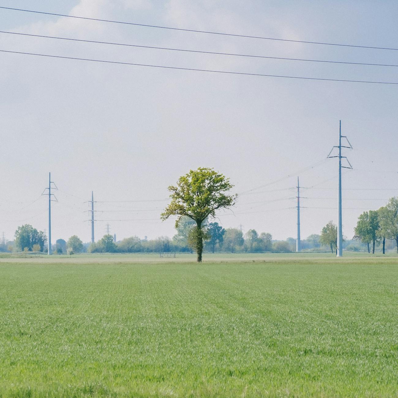 Renewable Energy Diplomacy