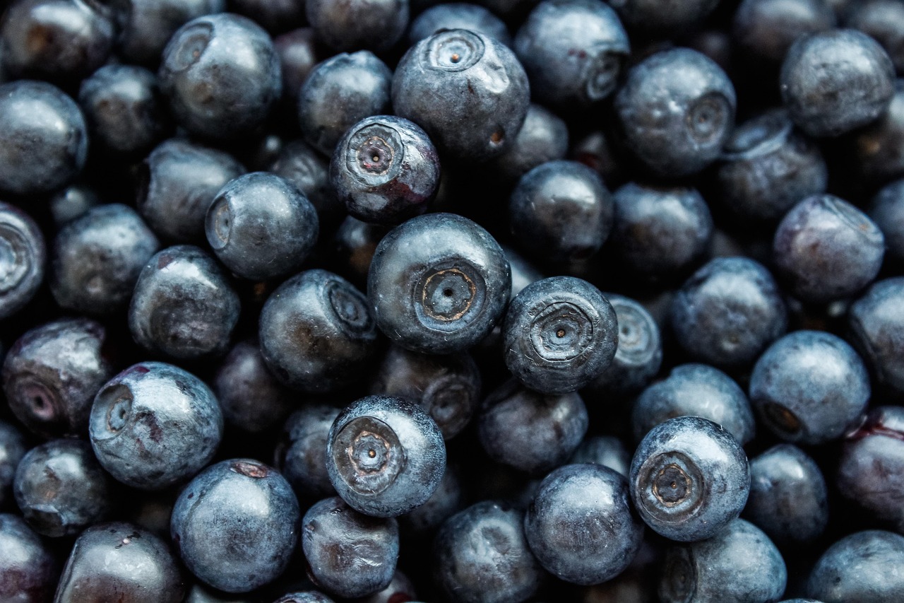 Nutritional Biochemistry
