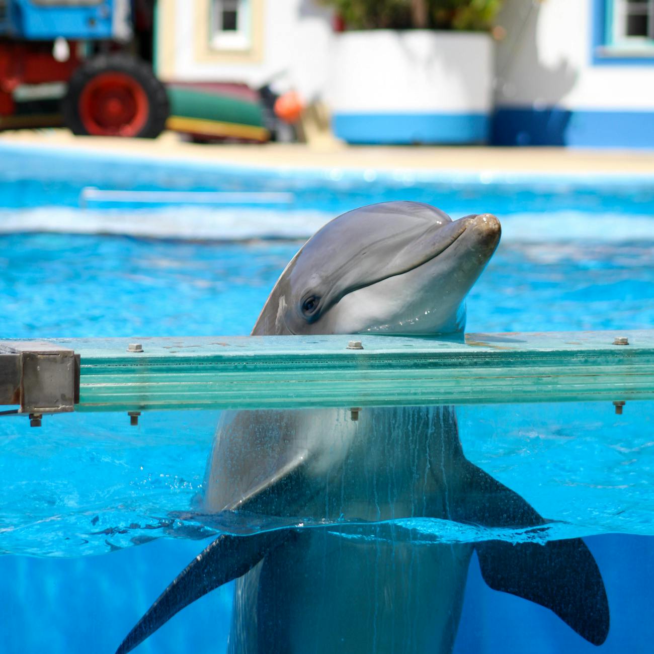 Aquarium Equipment Maintenance