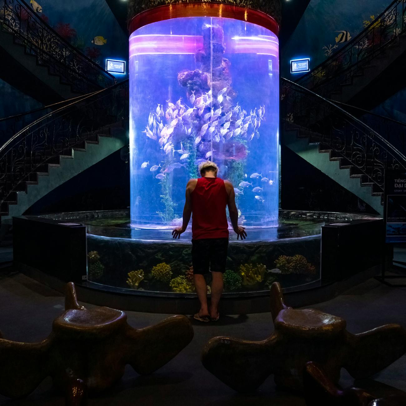 Aquarium Livestock Selection