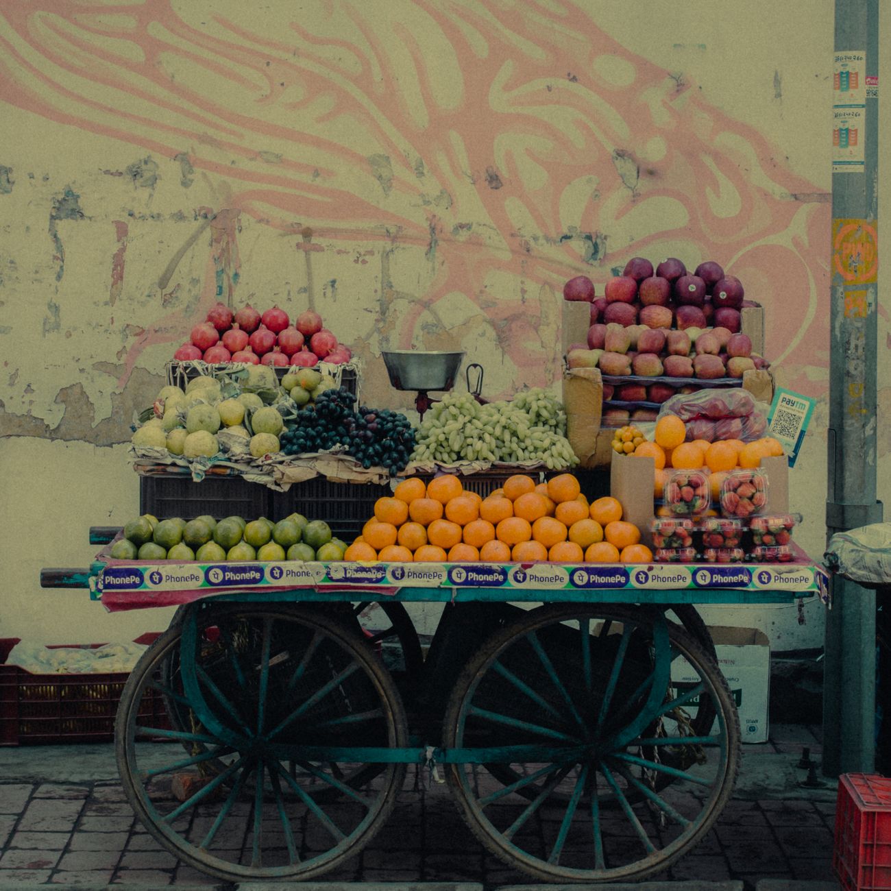 Food Systems