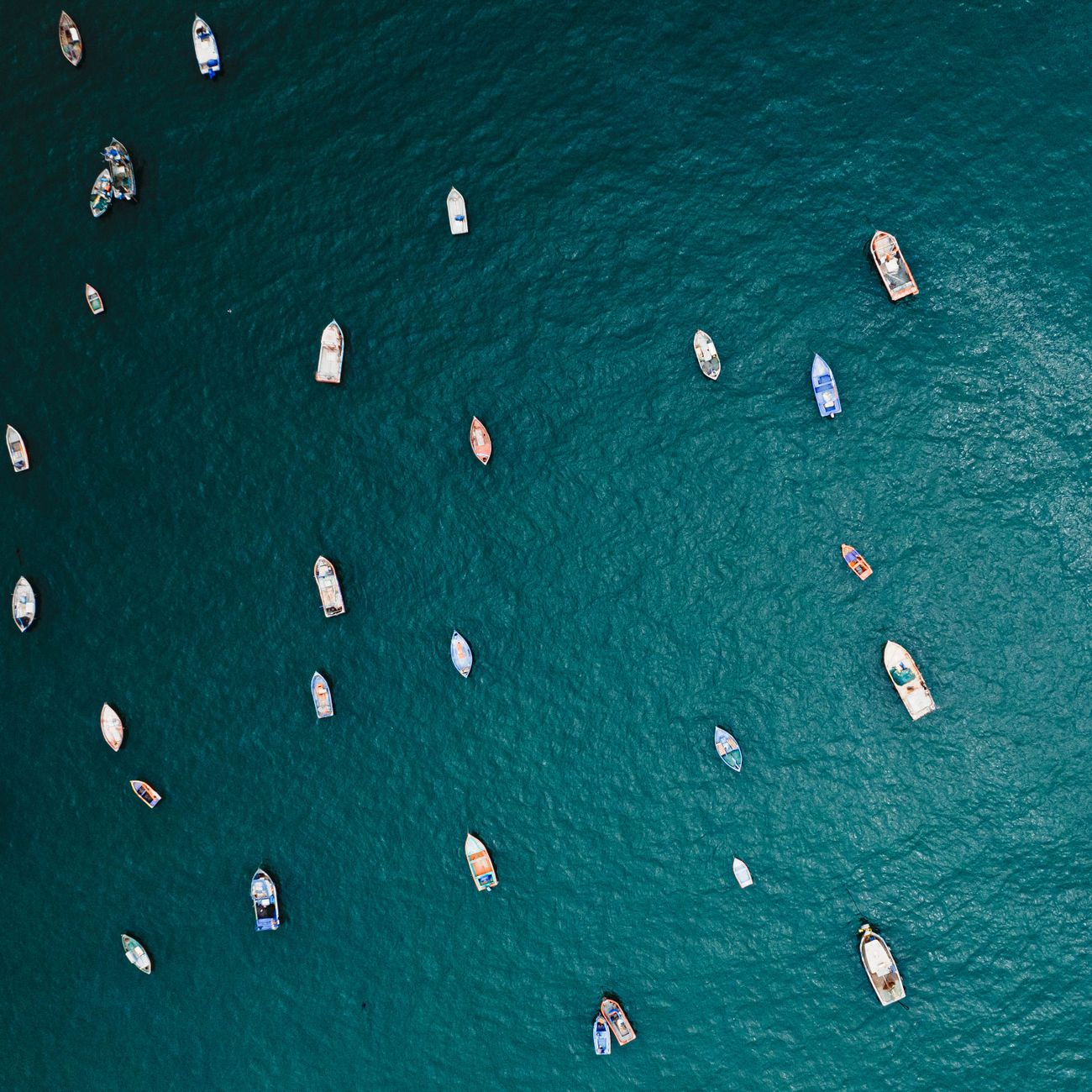 Diversity and Inclusion in Ocean Therapy