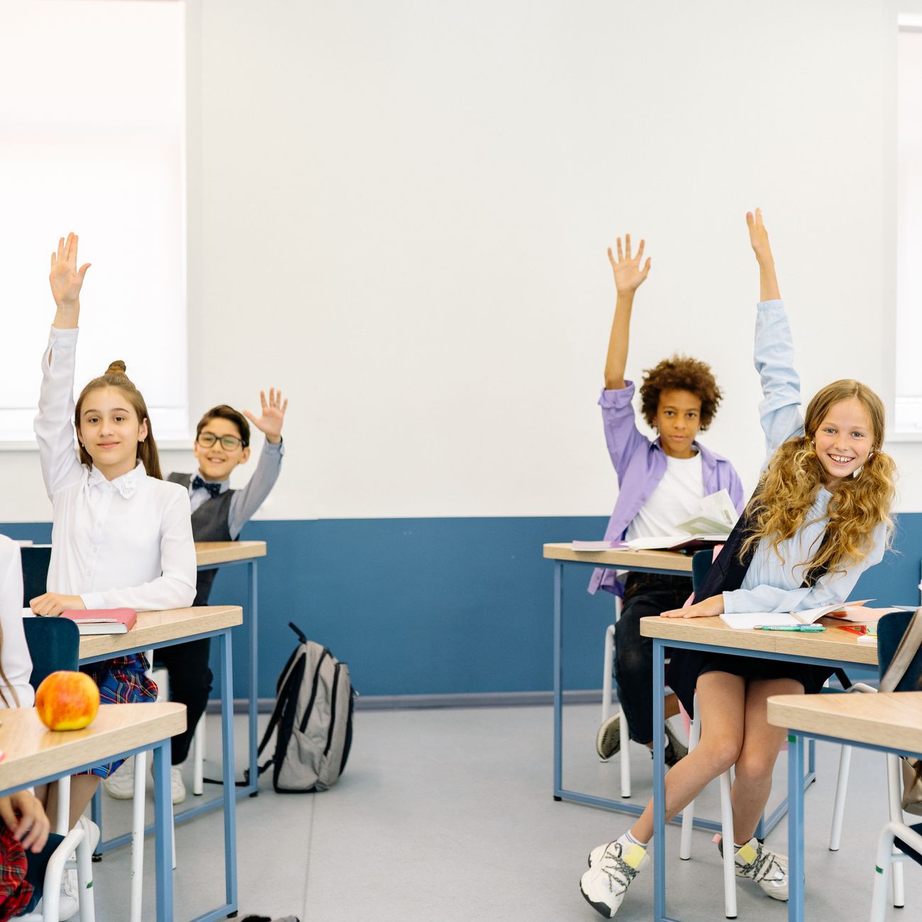 Curriculum Development in Primary Mathematics