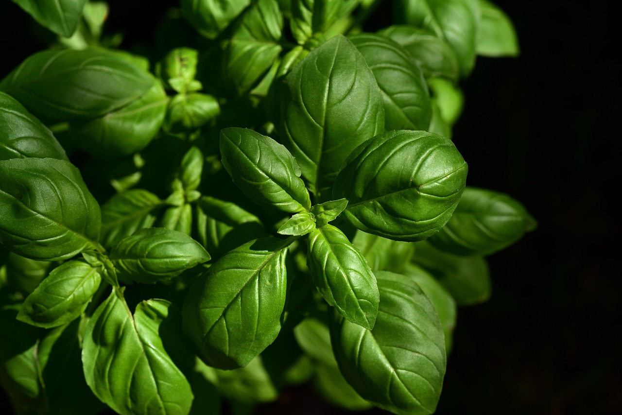 Culinary Culture and Identity