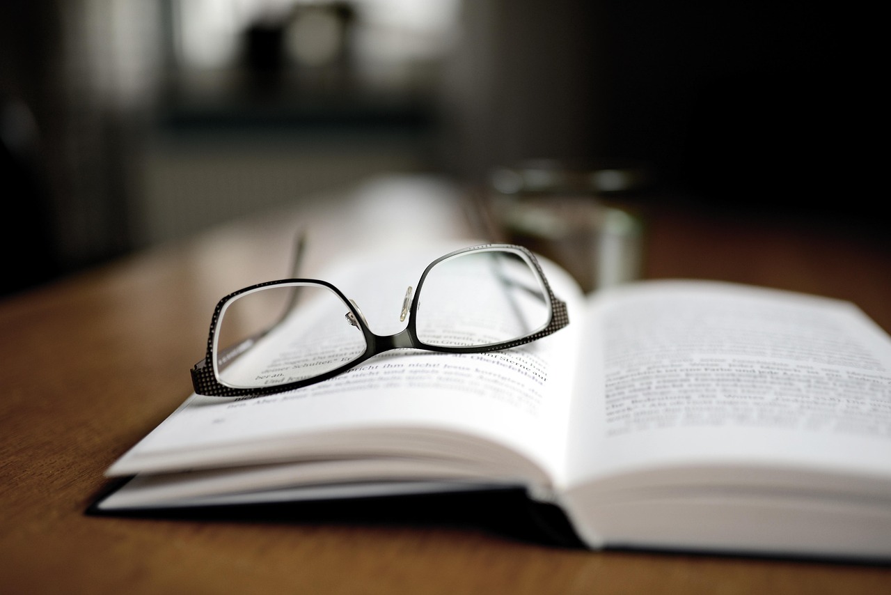 Literature in the Digital Age