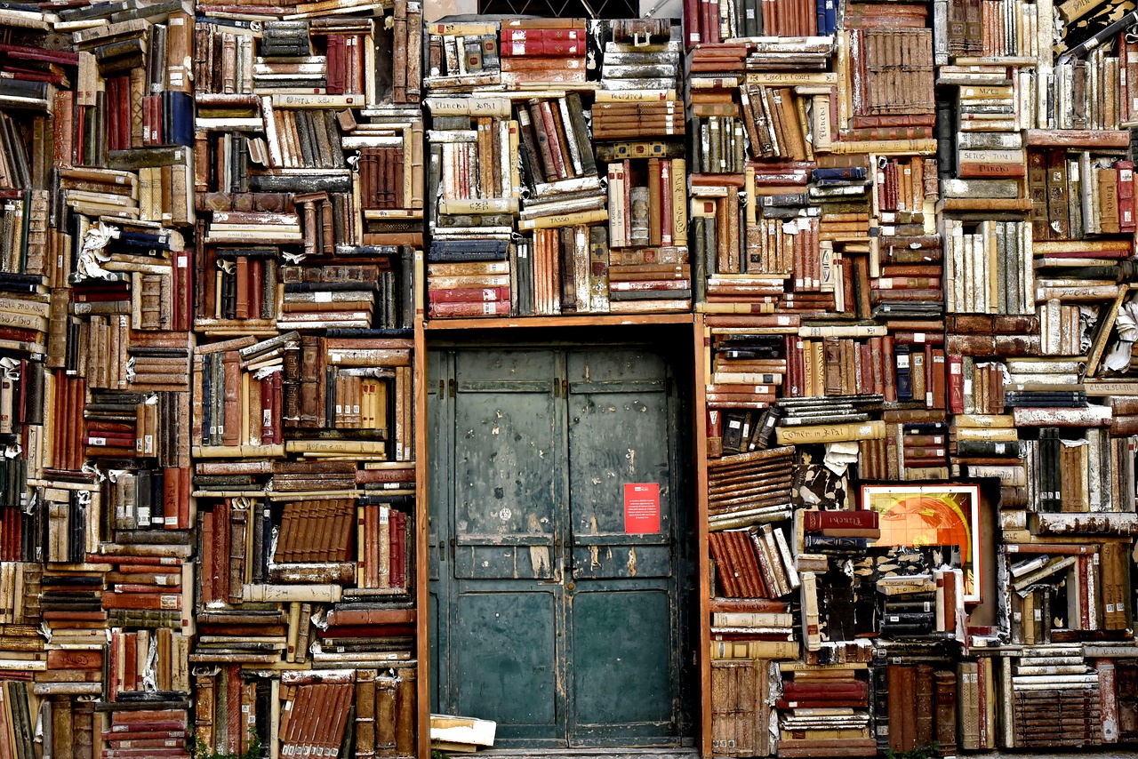 Literature and Social Justice