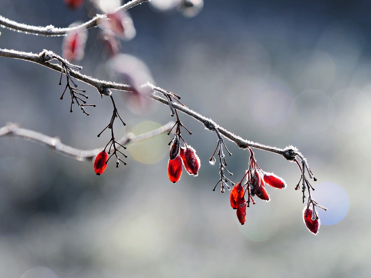 Conservation Ethics and Principles
