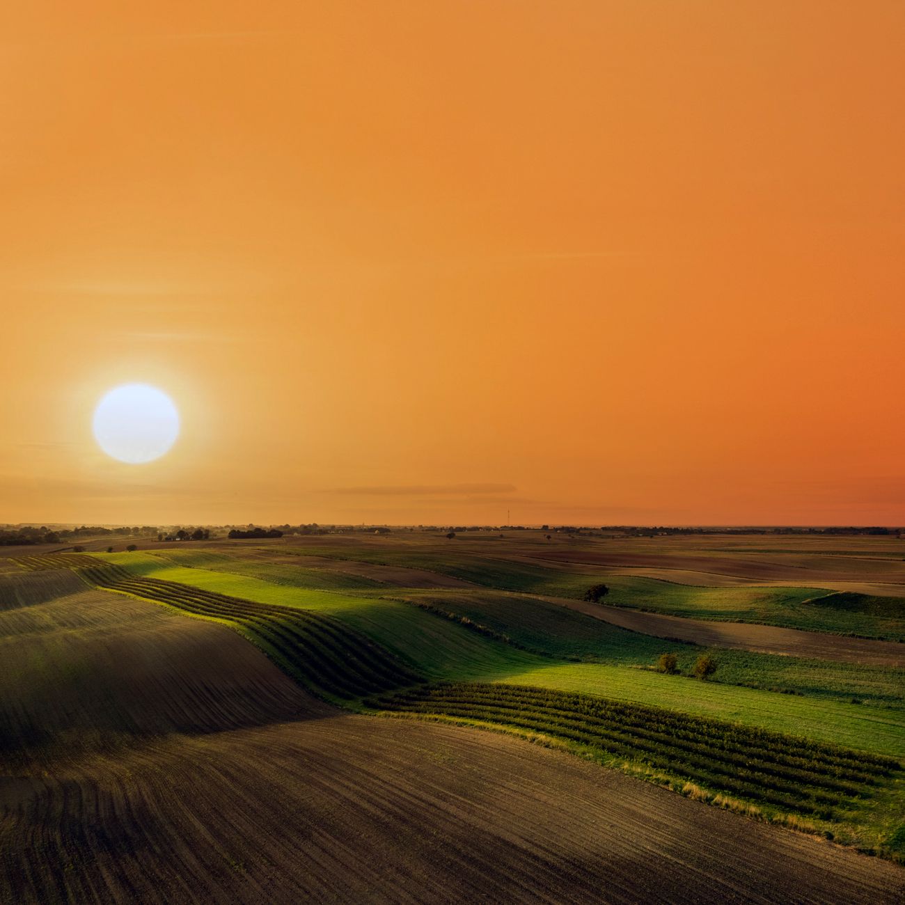 Financial Management in Agricultural Organizations