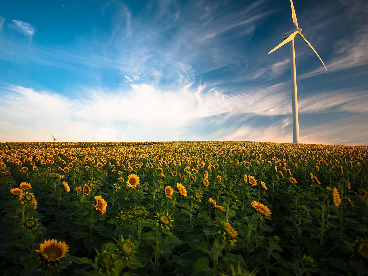 Energy Markets and Policy