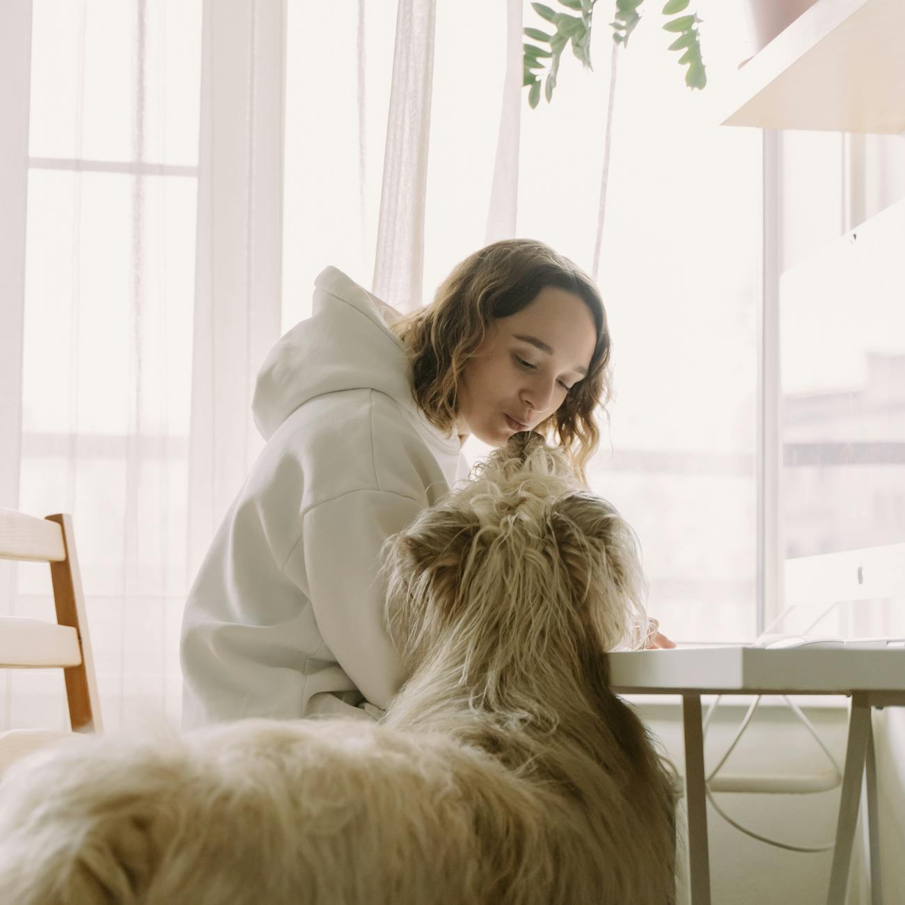 Ethical Considerations in AI for Veterinarians