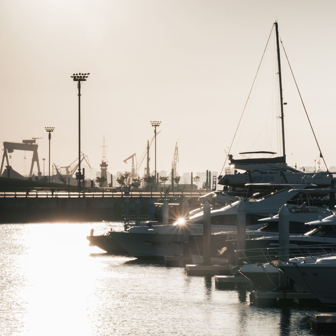 Legal and Regulatory Compliance in Marinas