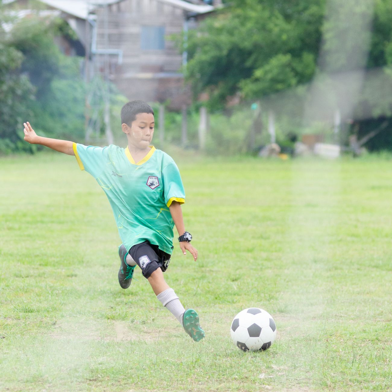 or case studies: