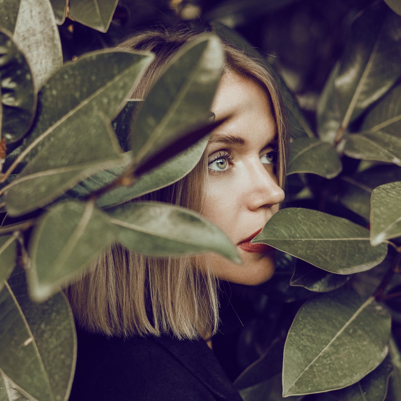 The Endocrine System in Functional Medicine