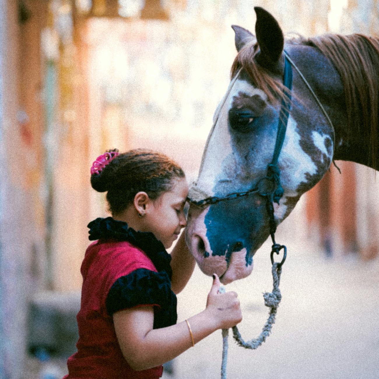 Equine Behavior and Communication
