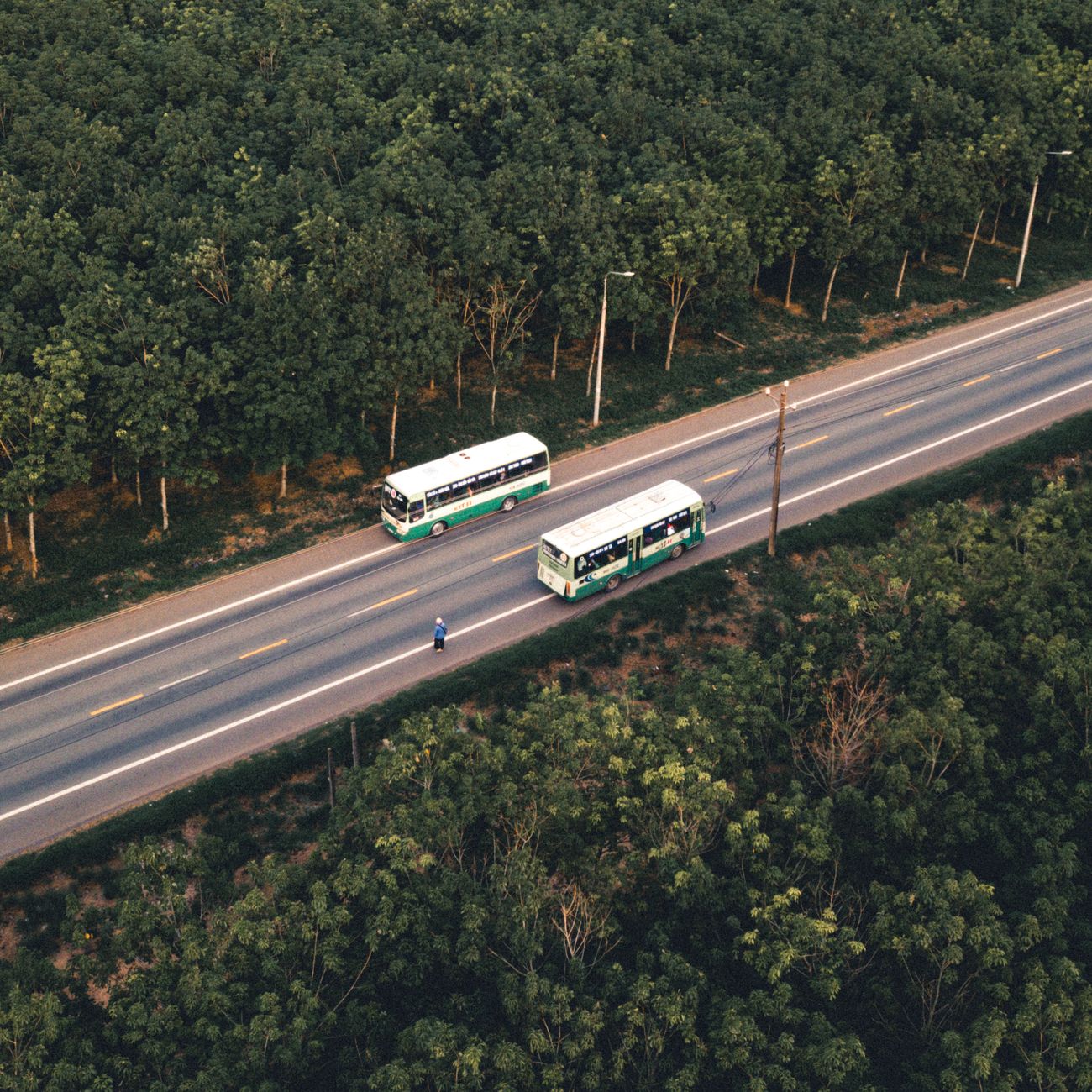 Fleet Electrification Strategy and Planning