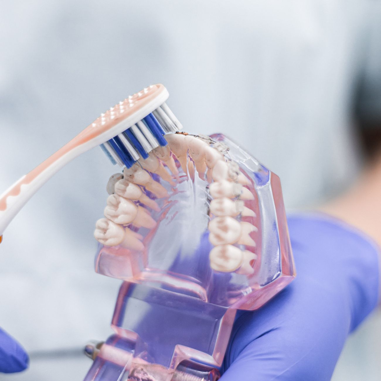 Dental Anthropology