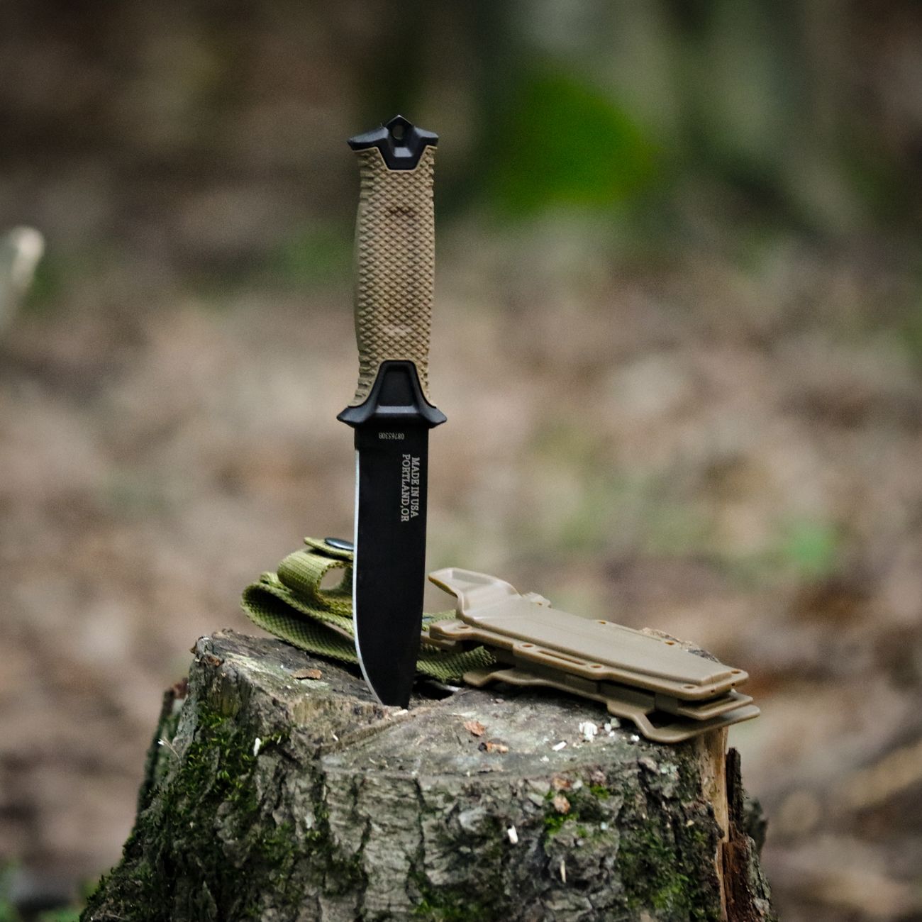 Understanding Deployment and Reintegration