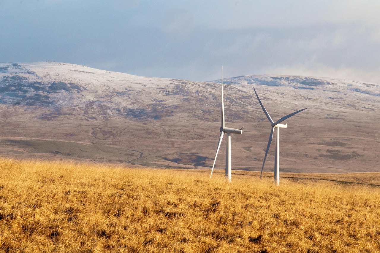 Introduction to Renewable Energy Directives