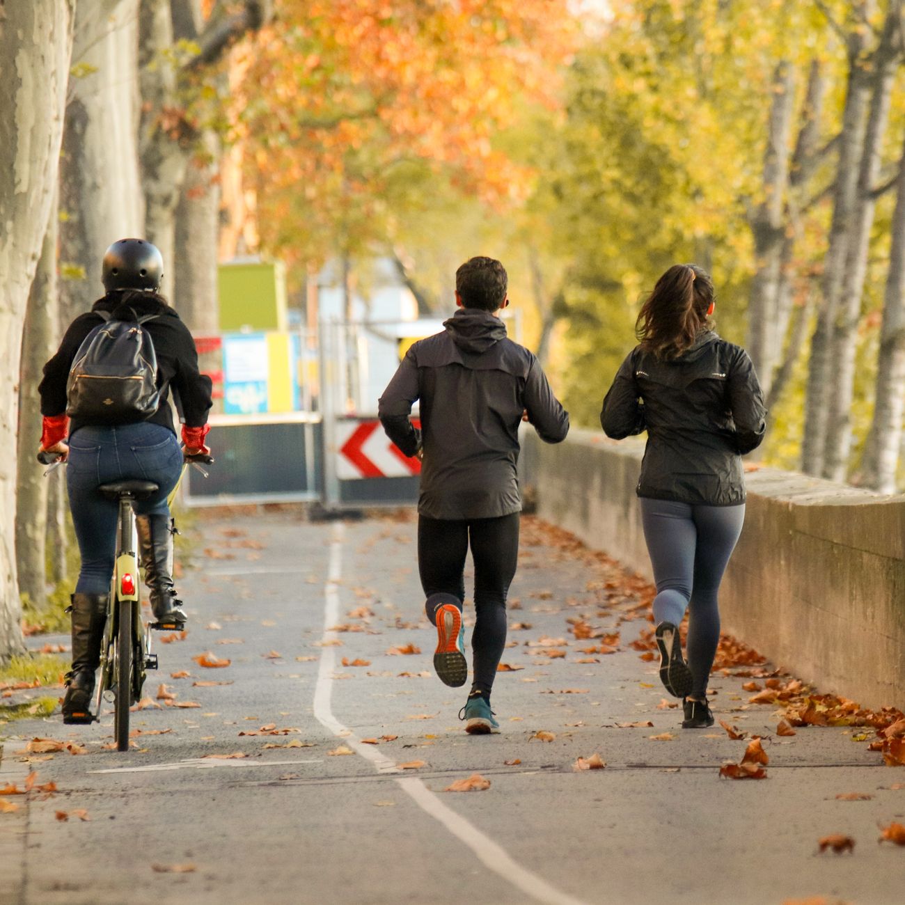 Exercise and Physical Activity Recommendations