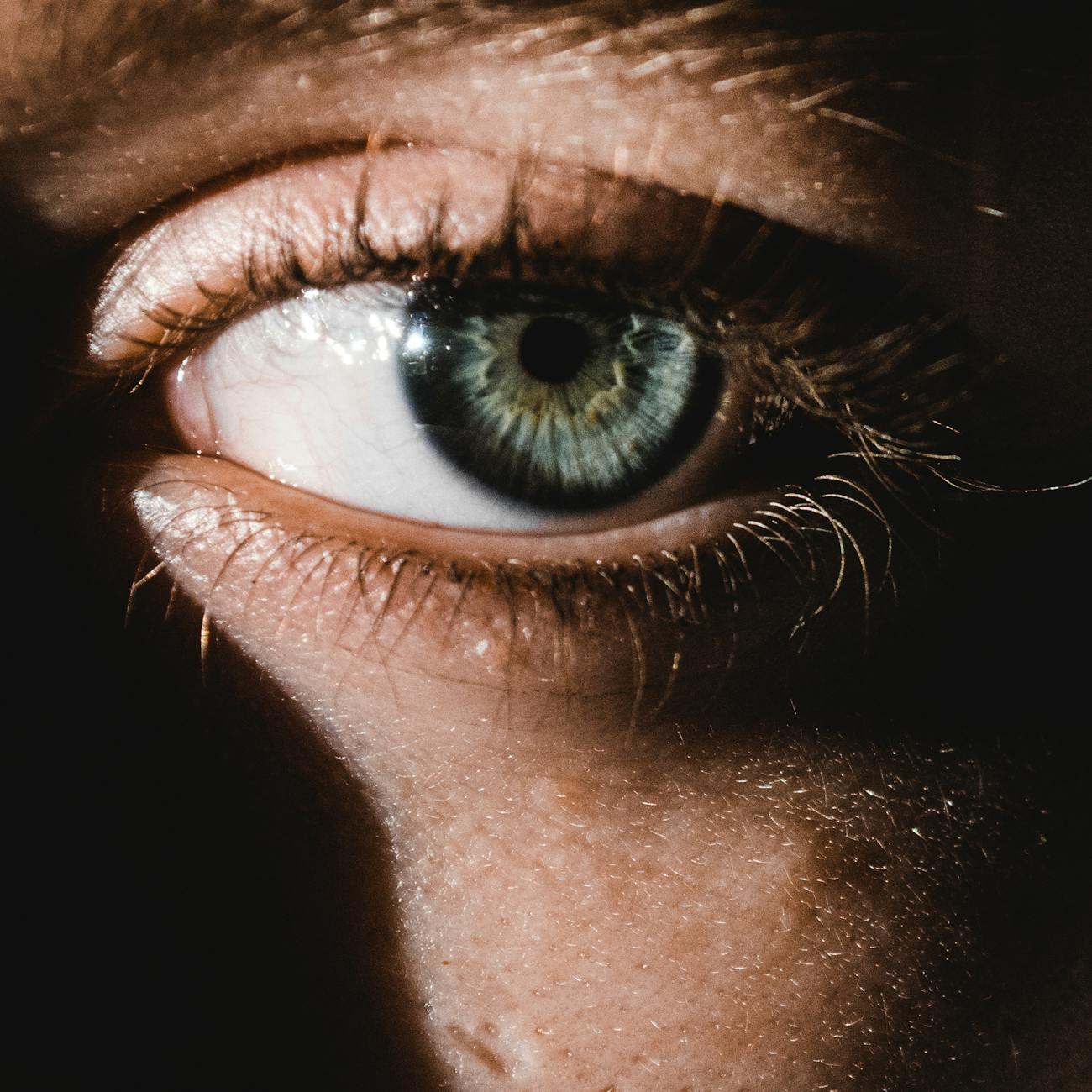 Biometrics and Identity Analytics