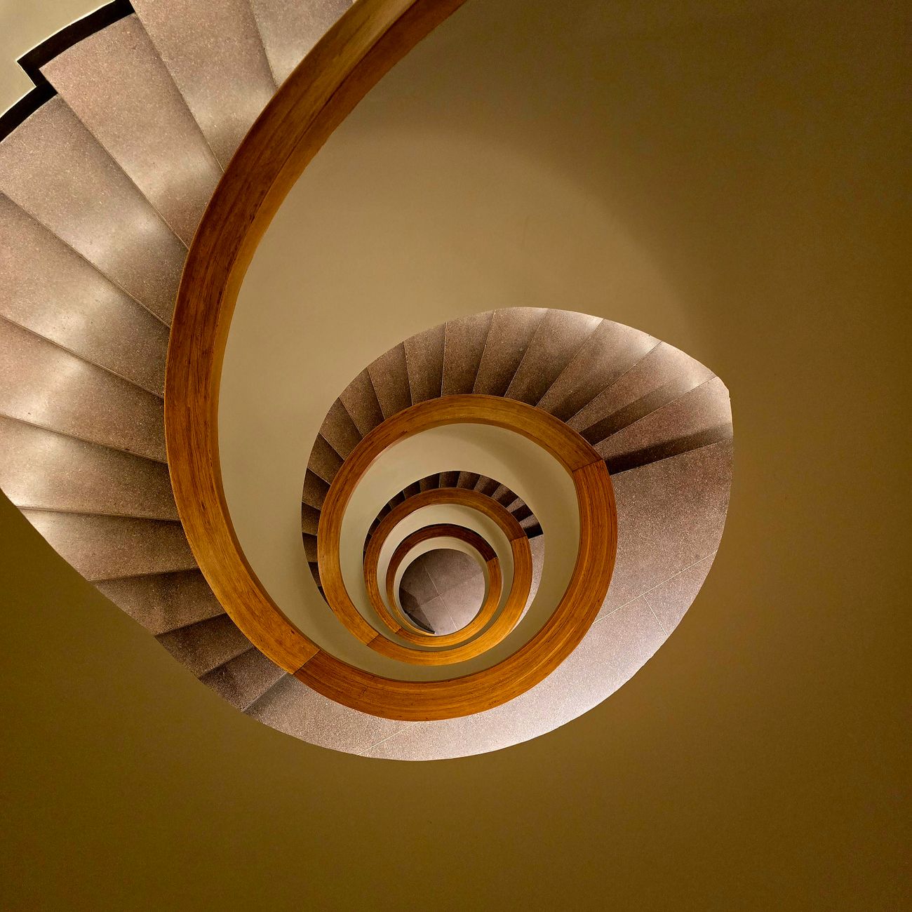 Professional Practice and Project Management