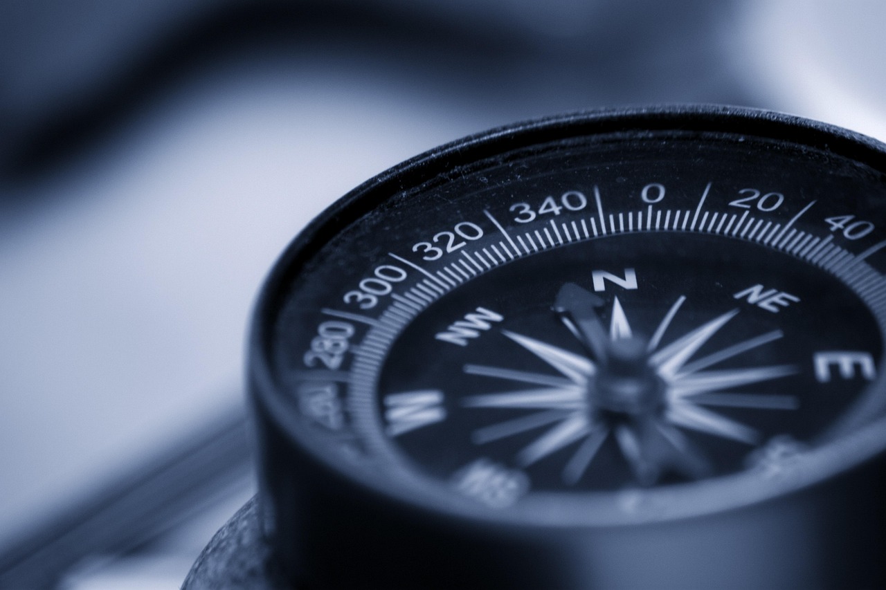 Leadership in Quality Improvement