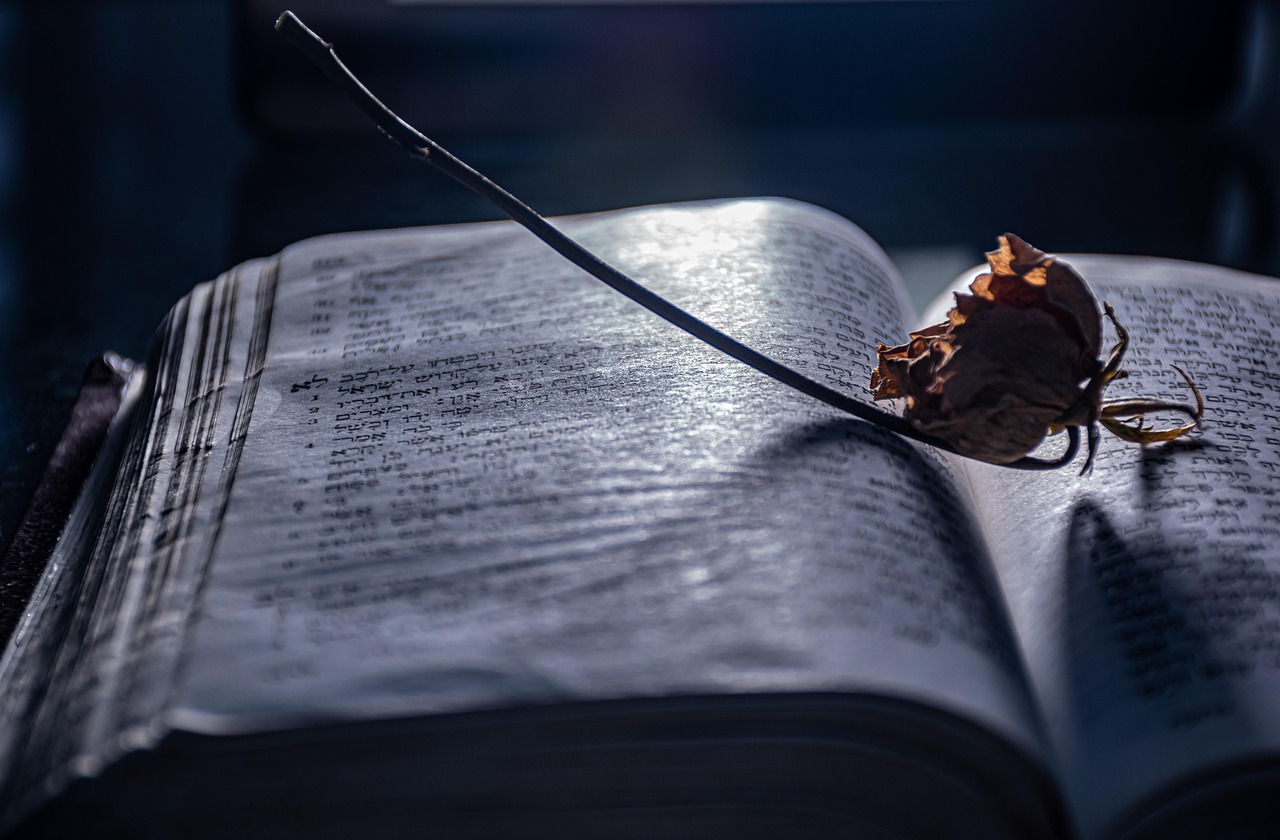 Introduction to Book Restoration