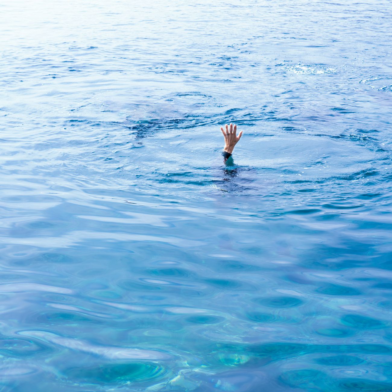 Program Development and Implementation in Aquatic Therapy