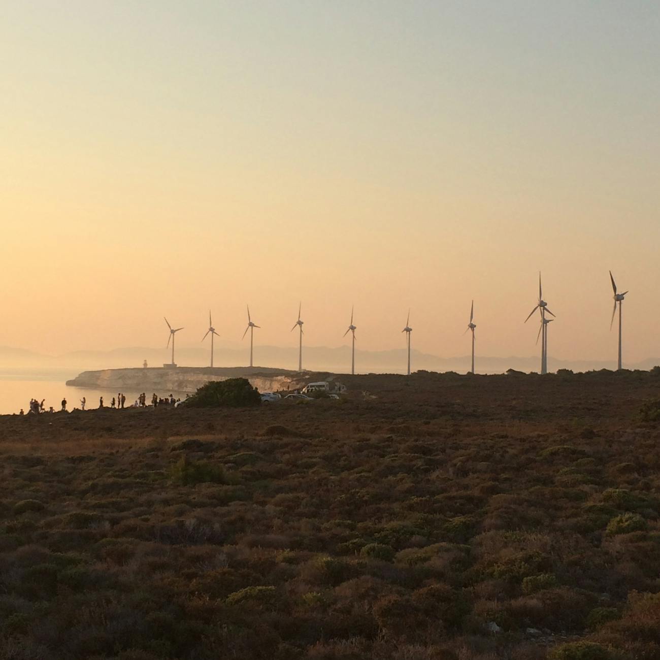 * Microgrid Economics and Financing