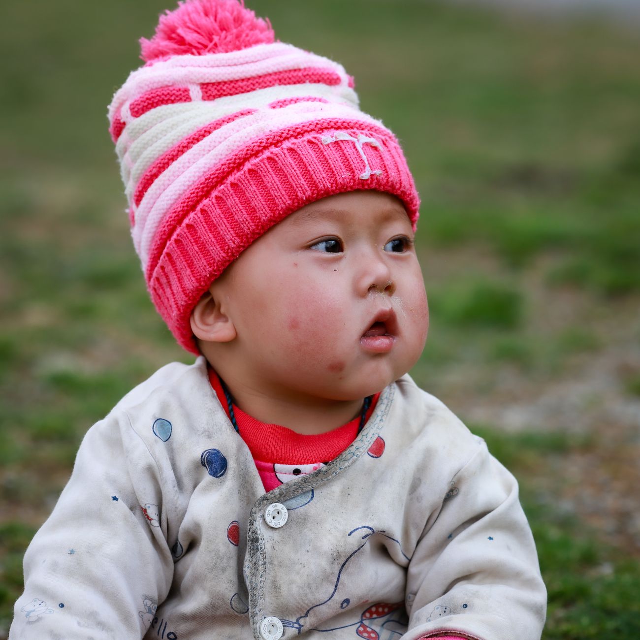 Language Development