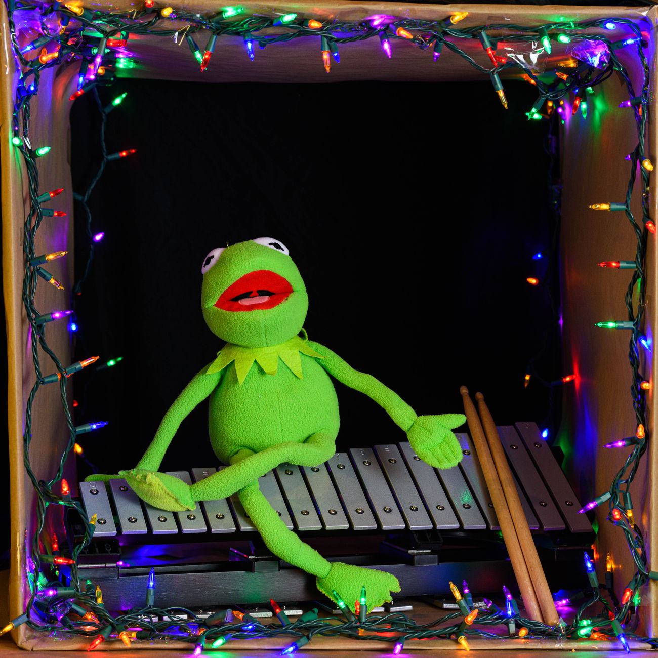 Musical Development in Childhood