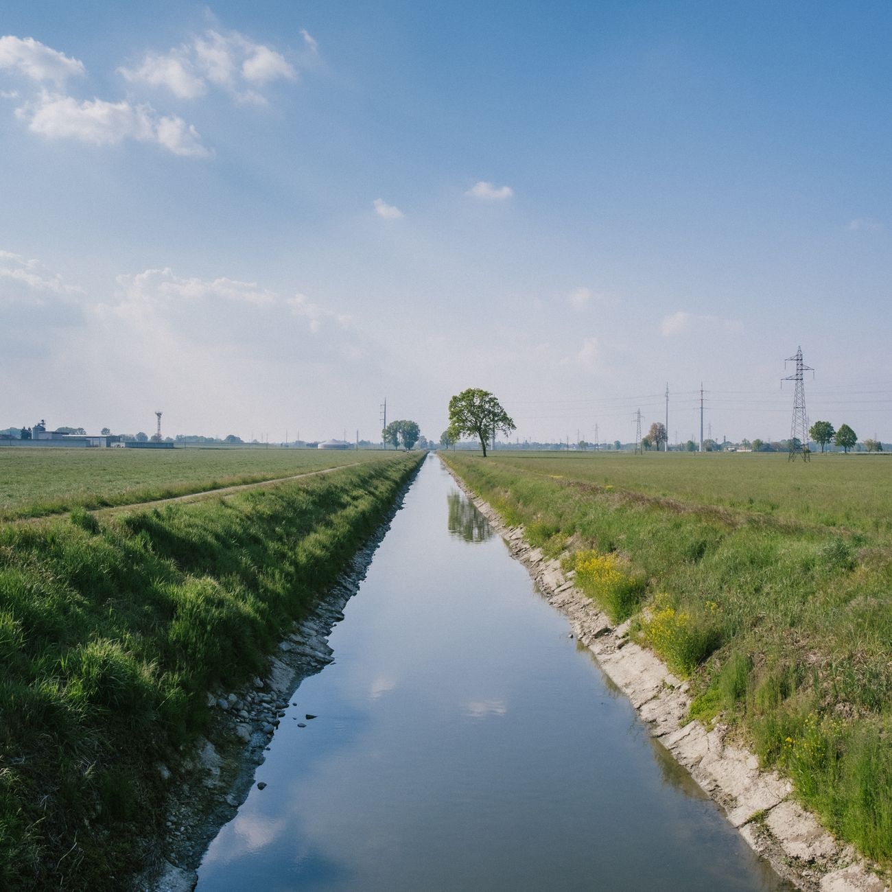 Water Framework Directive