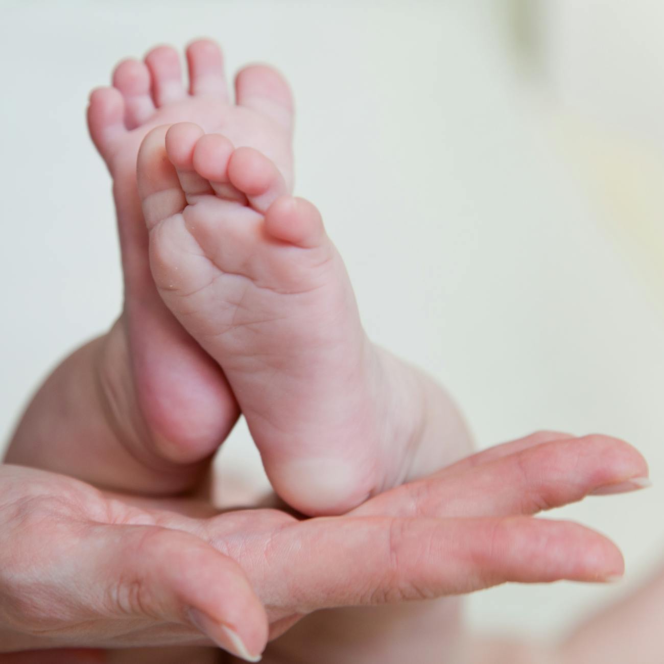 Kidney Development and Physiology