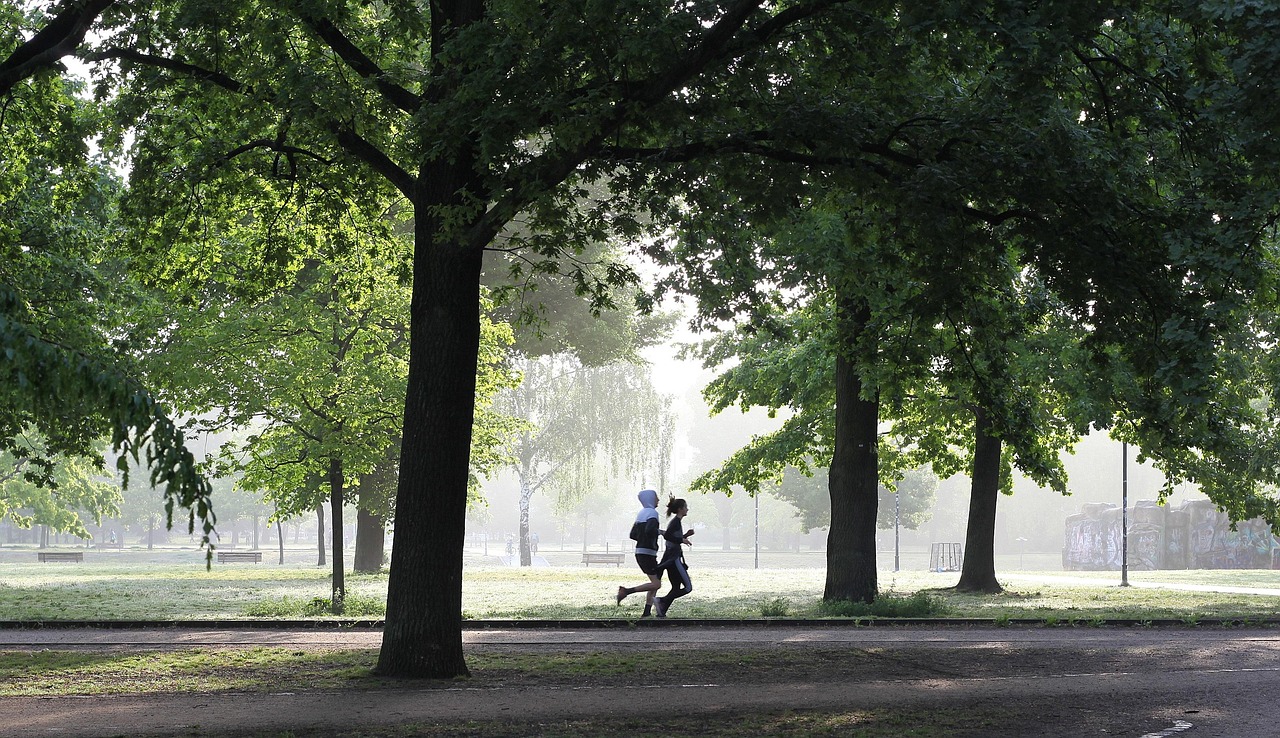 Physical Activity and Exercise Programming