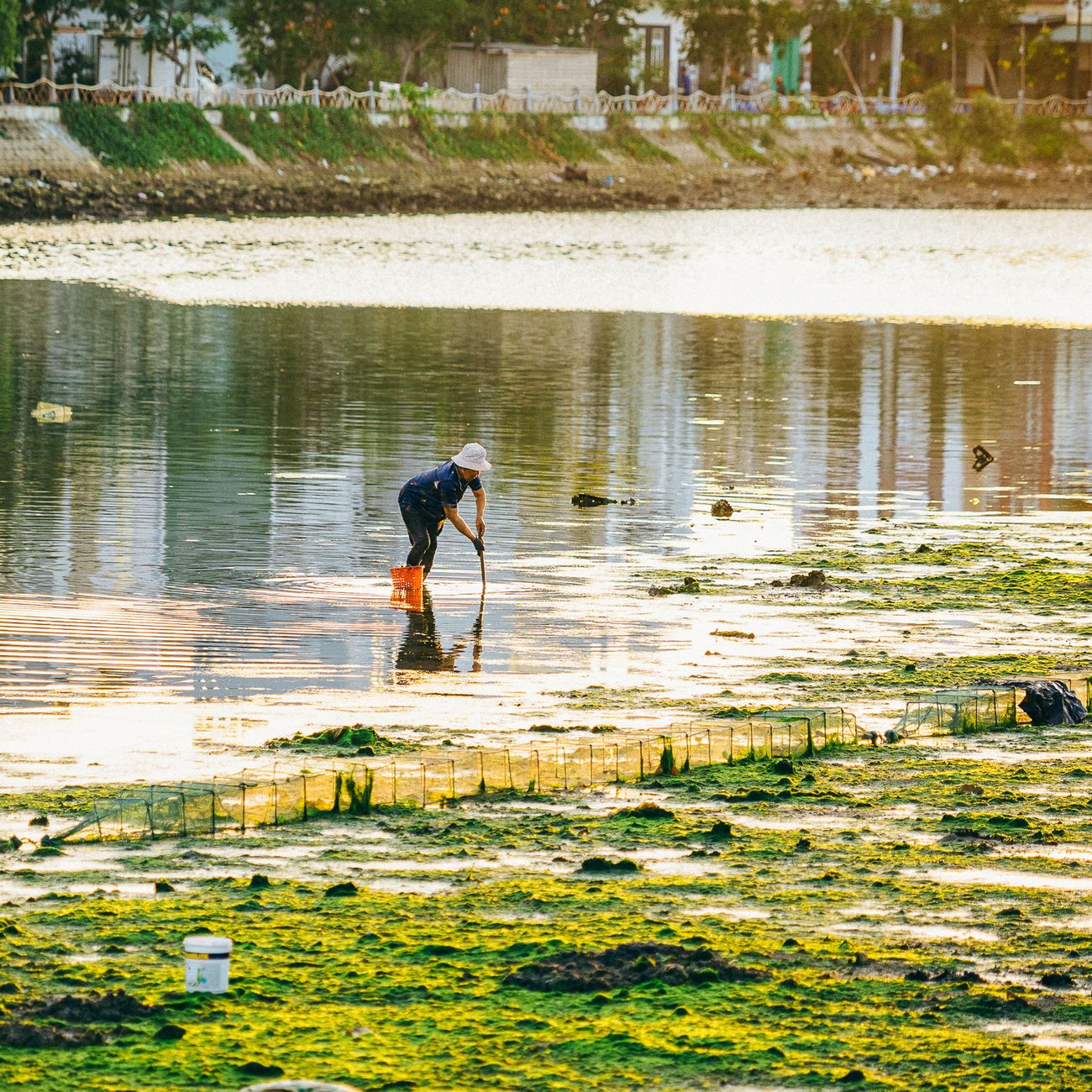 Environment Protection in Trade