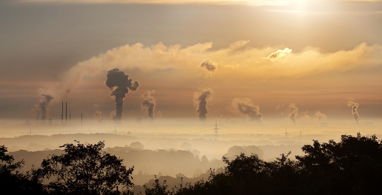 Environmental Impact and Compliance  